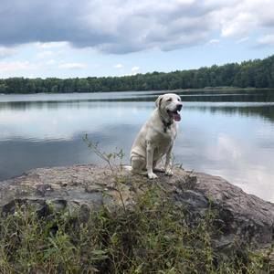 Meet your Posher, Edward